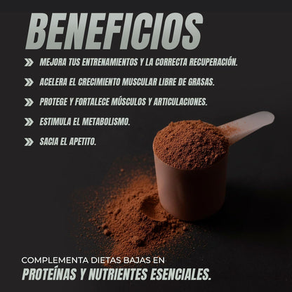 Healthy Fusion Whey Protein | Proteína Whey Pura Con Colágeno + Magnesio | Mejora Tus Entrenamientos | Protege Y Aumenta La Masa Muscular | 1000G De Proteína (Chocolate)